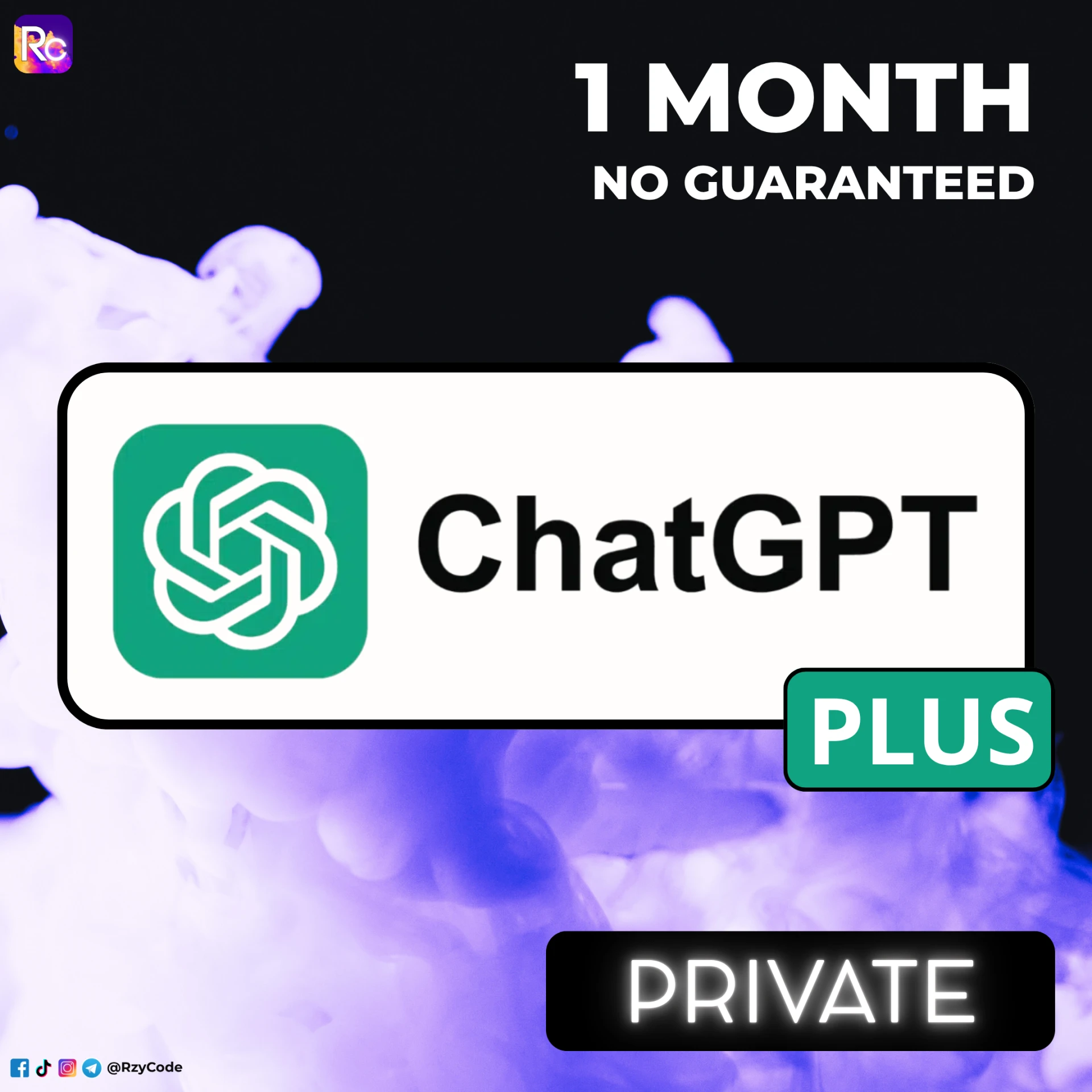 ChatGPT Plus | Private account | 1 Month no guaranteed