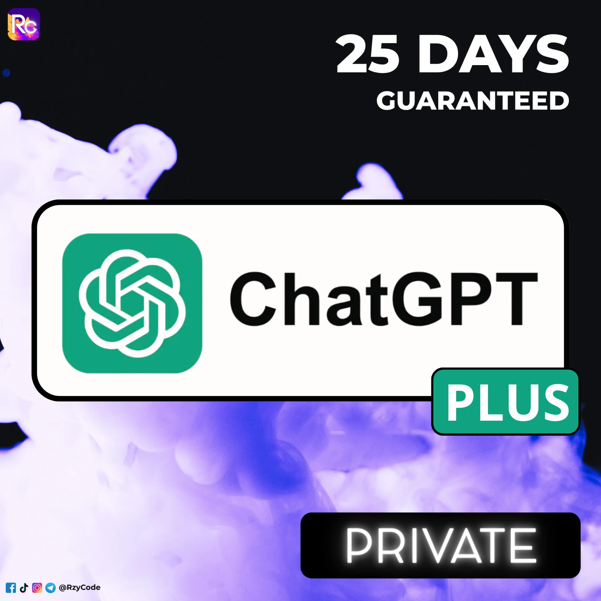 ChatGPT Plus | Private account | 25 days guaranteed